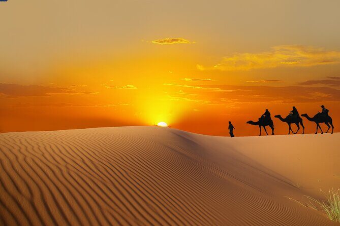Dubai Evening Desert Safari with BBQ Dinner - Authenticity, Value, and Reviews