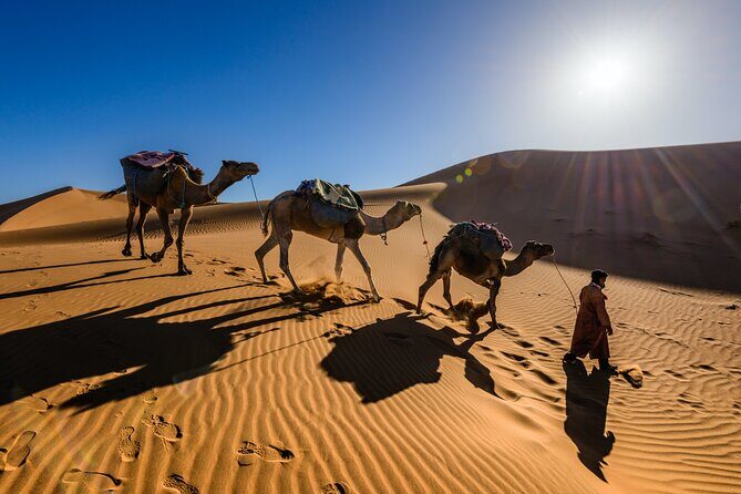 Dubai Evening Desert Safari with RedDune, sandboarding, live show - Additional Details & Practical Tips