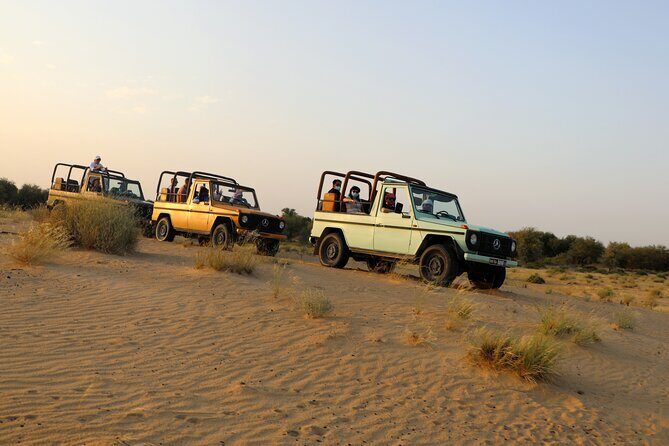 Dubai Evening Heritage Safari by Vintage G Class Al Marmoom Oasis - A Deep Dive into the Experience