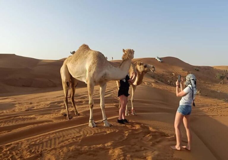 Dubai: Evening Red Dunes Desert Safari with Buffet Dinner - Exploring the Desert Environment