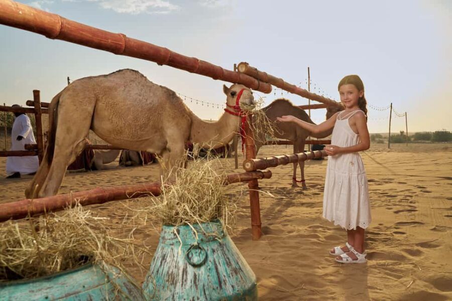 Dubai: Exclusive VIP Desert Safari Dinner with Live Show - The Value of This Experience