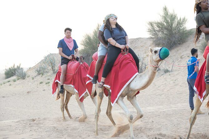 Dubai Half-day Red Dunes bashing with Sandboarding, Camel &Falcon - Final Thoughts: Is This Tour Worth It?