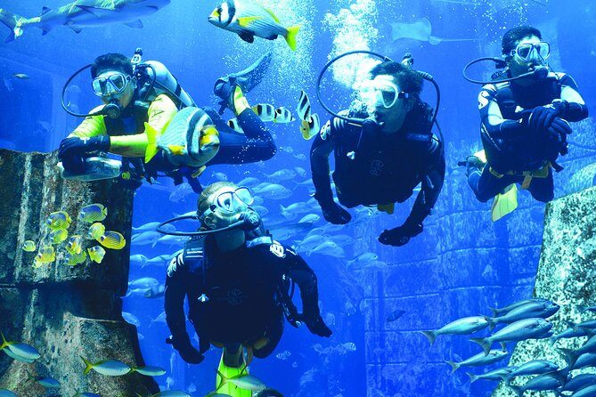 Dubai Lost Chambers Dive Discovery - FAQ