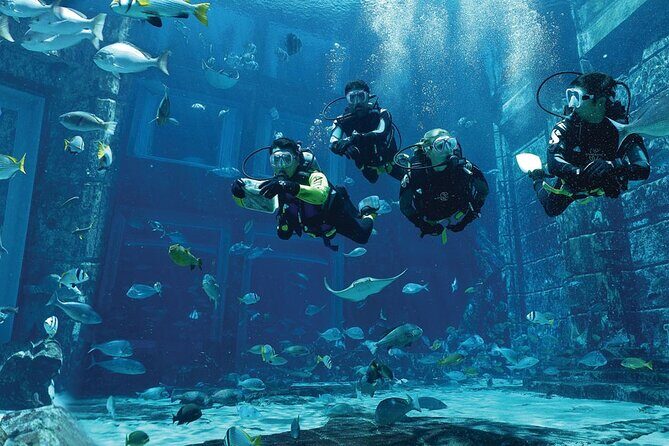 Dubai Lost Chambers Dive Explorer (Certification Required) - Considerations Before Booking