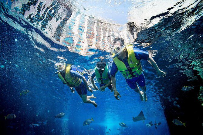 Dubai Lost Chambers Ultimate Snorkel Experience - What to Expect from the Experience