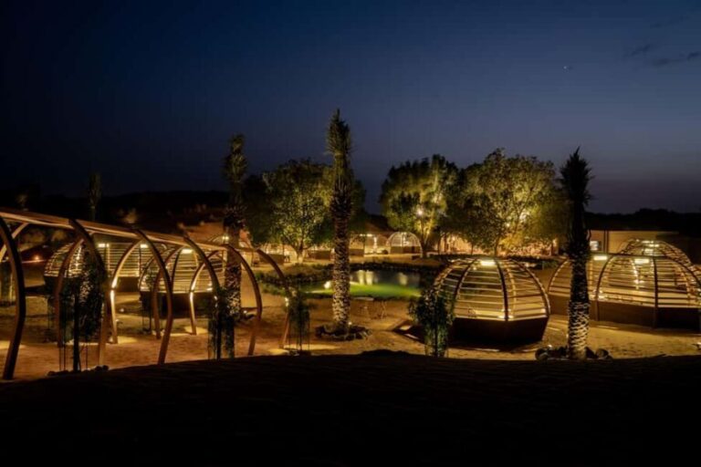 Dubai: Luxury Safari with Michelin-Curated 5-Course Dinner - The Falconry Show and Sunset Canapés
