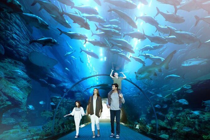 Dubai Mall Aquarium and Underwater Zoo Ticket - The Realities of Visiting: Pros and Cons
