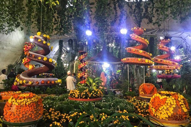 Dubai Miracle & Butterfly Garden Tour with private round trip transfers - The Itinerary: What to Expect
