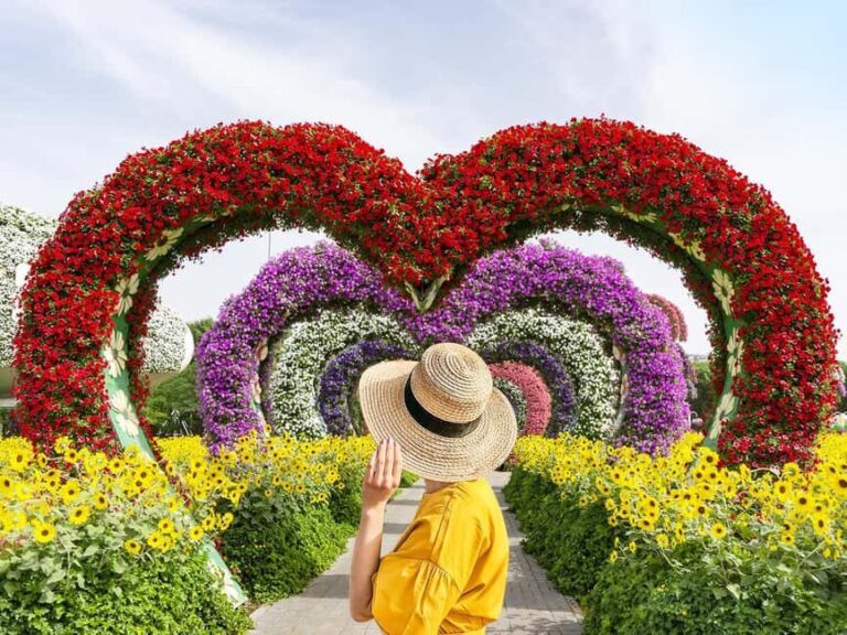 Dubai: Miracle Garden Entry Ticket with Hotel Transfer - Inside the Garden: A Kaleidoscope of Flowers