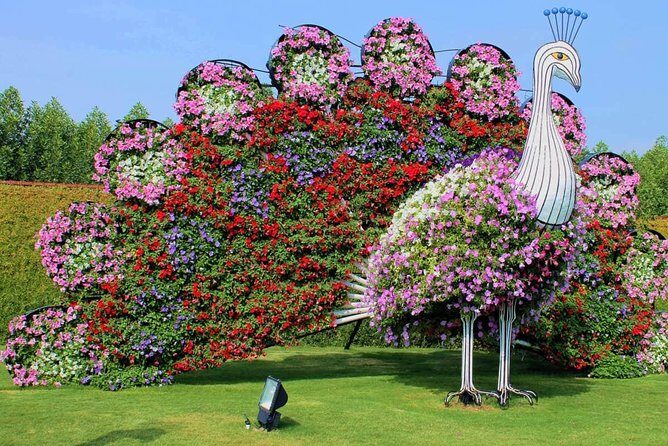 Dubai Miracle Garden with private round trip transfers - Exploring the Dubai Miracle Garden Tour in Detail