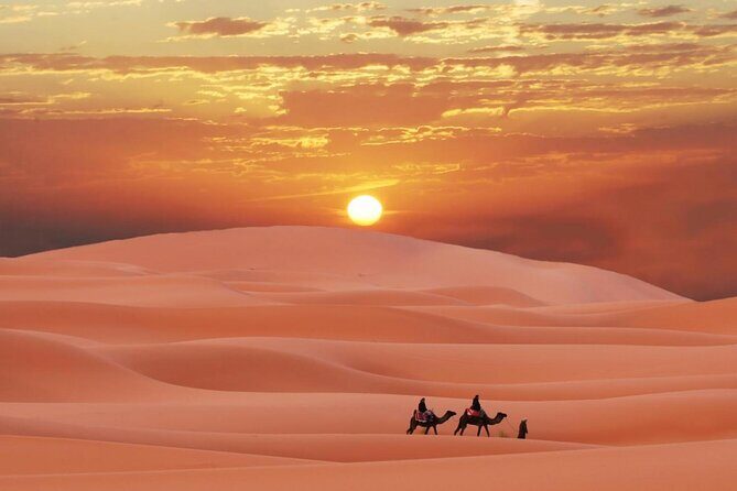Dubai Morning Desert Safari With Dune Bashing - Private - Detailed Breakdown of the Itinerary
