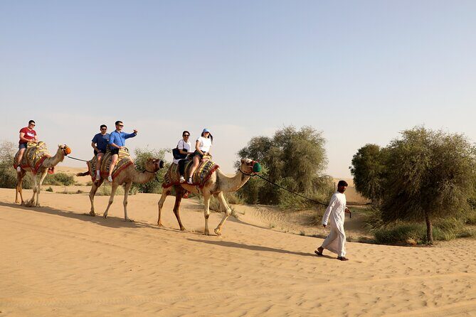 Dubai: Morning Heritage Safari by Vintage G Class & Al Marmoom Oasis - Exploring the Dubai Desert Conservation Reserve