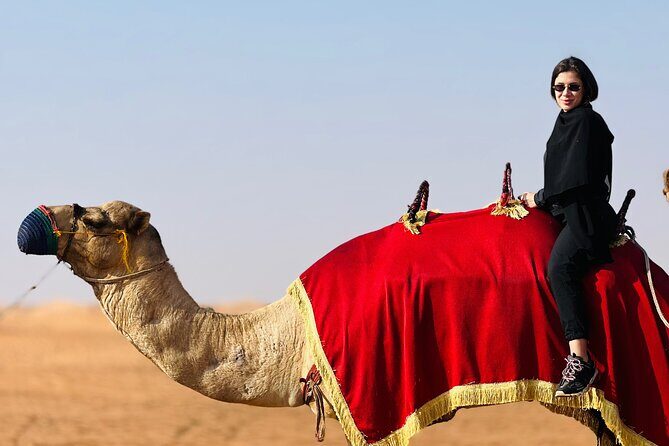 Dubai: Morning Quad bike & Safari Adventure , Sandboarding, camel - Analyzing the Value