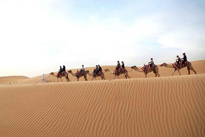 Dubai Morning Red Dunes with Camel Safari & Sandsurf - What Travelers Praise and What to Consider