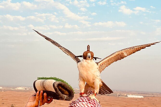 Dubai Premium Desert Safari Red Duns Camel sandbord & Premium BBQ - Authentic Experiences and Practical Tips