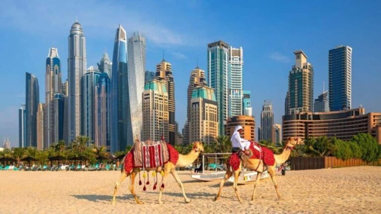 Dubai: Private Layover Sightseeing Tour with Local - Practical Details and What to Expect
