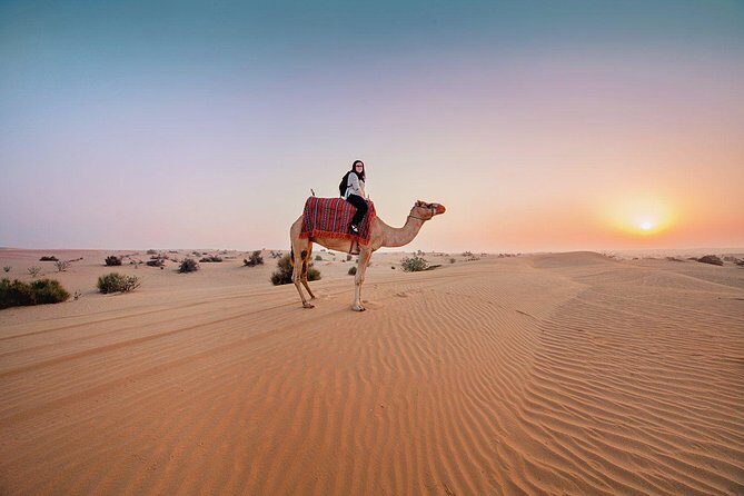 Dubai Private Morning Desert Safari: Camel Ride & Sandboarding - The Itinerary in Detail