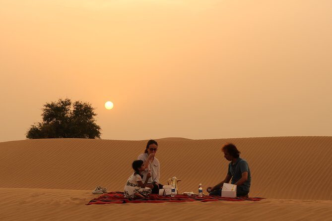 Dubai Private Sunset Desert Drive with Wildlife Experience - What Travelers Say