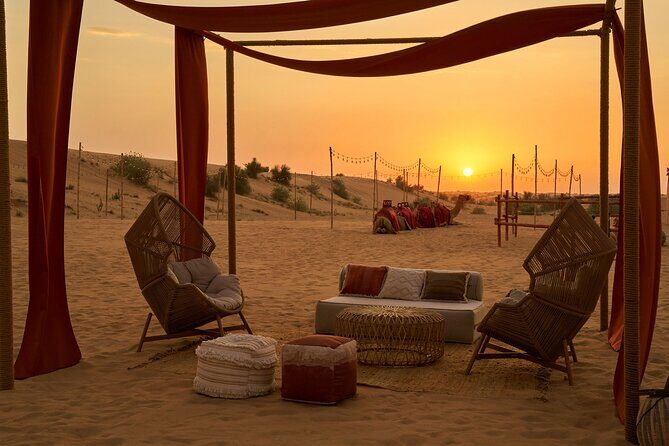 Dubai Private VIP Desert Dinner and Live Entertainment Show - Who Is This Tour Best For?