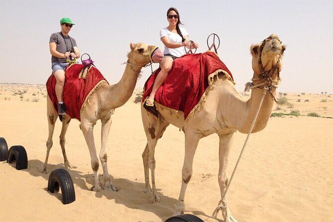 Dubai Red Dune Safari with BBQ Dinner and Live Shows - The Experience: What Travelers Say