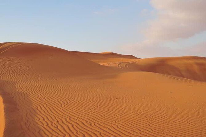 Dubai Red Dunes Desert Safari Adventure - What Reviewers Say