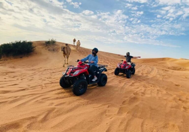 Dubai: Red Dunes Evening Quad Bike, Dune Blast with BBQ - The Sum Up: Who Should Book This Tour?