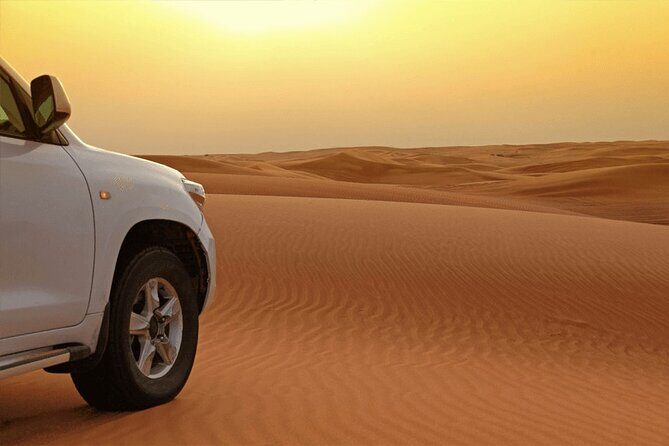 Dubai Red Dunes Morning Safari With Camel Ride - How the Tour Is Structured