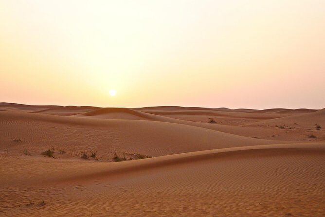 Dubai Red Dunes Safari by Quad Bike, Sand boarding, Camel Ride & BBQ Dinner - Who Should Consider This Tour?