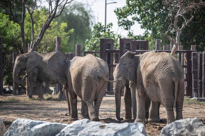 Dubai Safari Park - The Itinerary: What to Expect