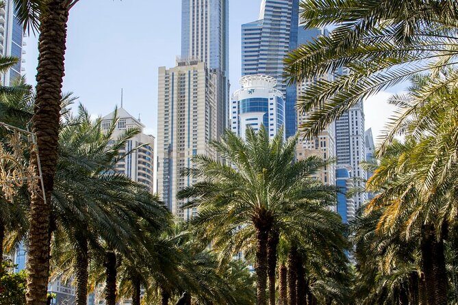 Dubai Sightseeing Tour (Private) - How the Tour Works: Practical Details and What They Mean for You