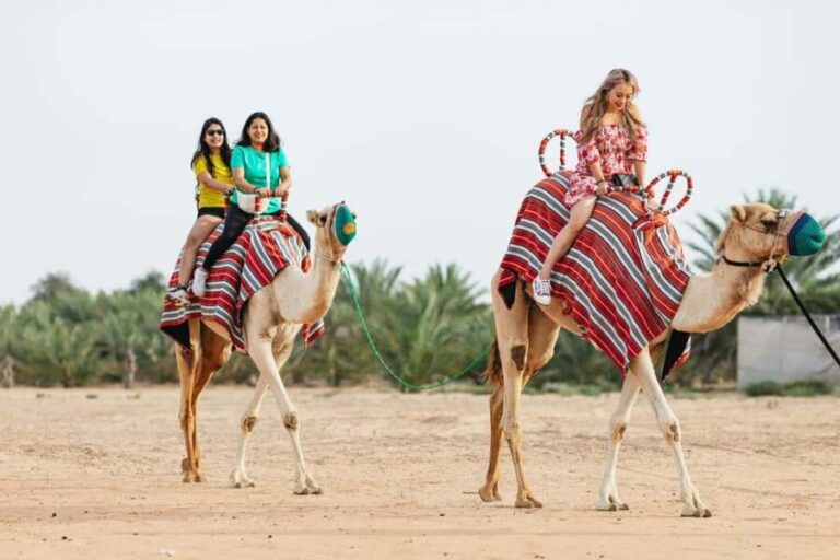 Dubai: Sunrise Balloon Flight with Camel Ride & Breakfast - What We Love About This Tour