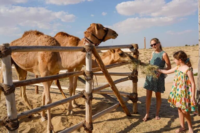 Dubai: Sunset Camel Trek, Al Khayma Camp, Stargazing & BBQ - What the Tour Means for You
