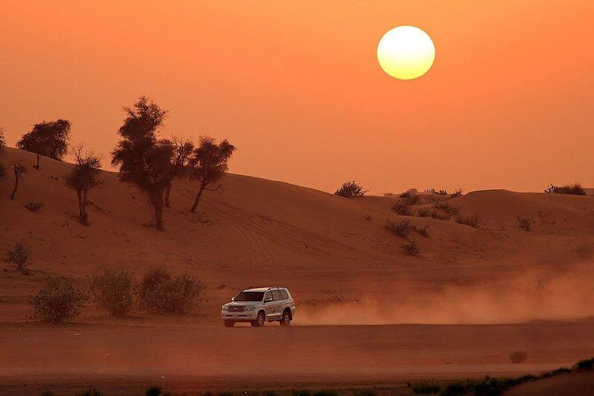 Dubai Top5 Tours:Desert Safari-Dxb City Tour-Abu Dhabi Tour-Dhow Cruise-Musandam - Day 2: Dubai’s Highlights and a Relaxing Dhow Dinner