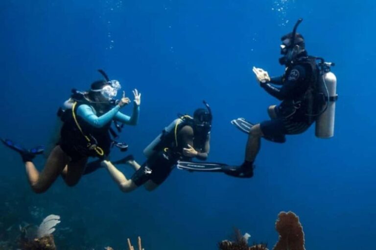 Dubai: Try Scuba Diving Experience with Hotel Transfer - Who Will Love This Experience?