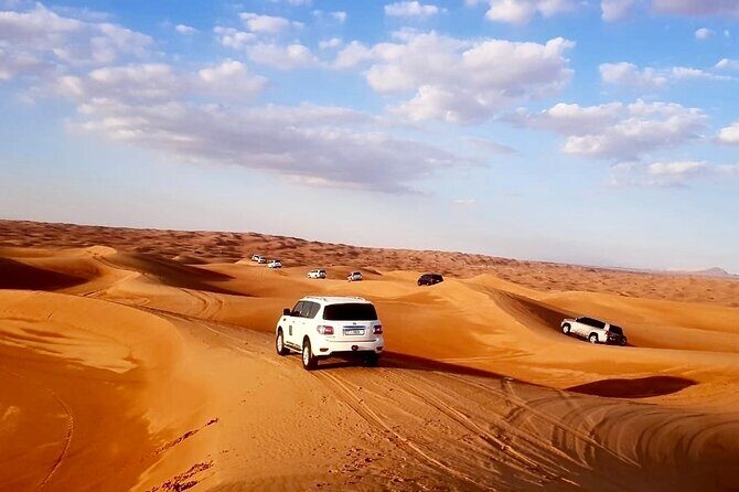 Dubai: Unique MORNING 4WD Red Dunes Safari - The Photo Stop: Capture the Moment