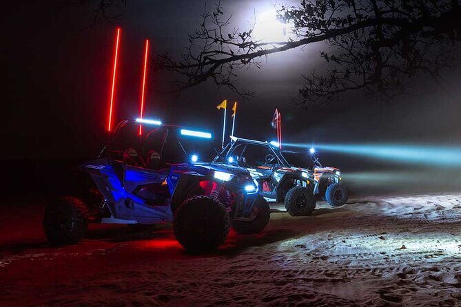 Dune Bashing with Dune Buggy Ride for 30 minutes in Desert Dubai - Authentic Feedback from Travelers