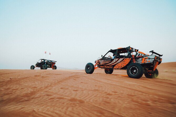 Dune Buggy Experience and Dinner at Mleiha Archaeological Center - Analyzing the Value