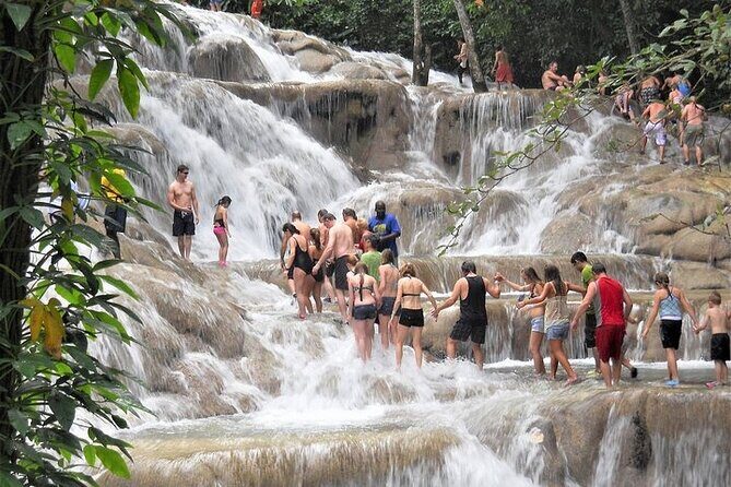 Dunn's River Falls & Blue Hole Combo Tour from Montego Bay - Real Traveler Insights