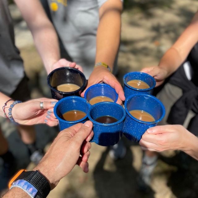 DuPont Forest: Private Coffee Hike® to Three Waterfalls - Exploring DuPont Forest: What You Can Expect