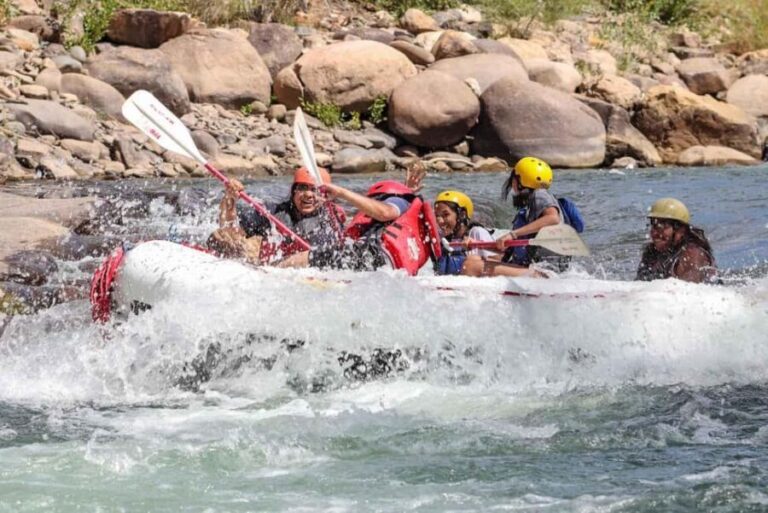 Durango 3/4 Day Rafting Trip with Lunch - Lower Animas River - What Makes This Tour Stand Out