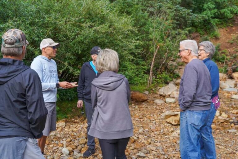 Durango Half Day Jeep Tour - La Plata Canyon - Authentic Reviews from Travelers