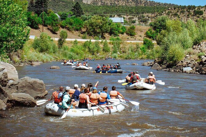 Durango Half Day Rafting Trip - Lower Animas River - The Scenic Highlights