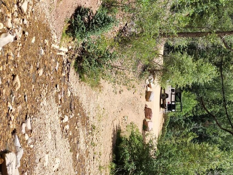 Durango: Waterfalls and Mountains La Plata Canyon Jeep Tour - Who Should Consider This Tour?