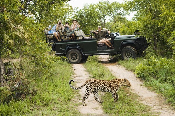 Durban: Big 5 Luxury Safari at an Award Winning Game Reserve  Zeiss Binoculars - The Sum Up