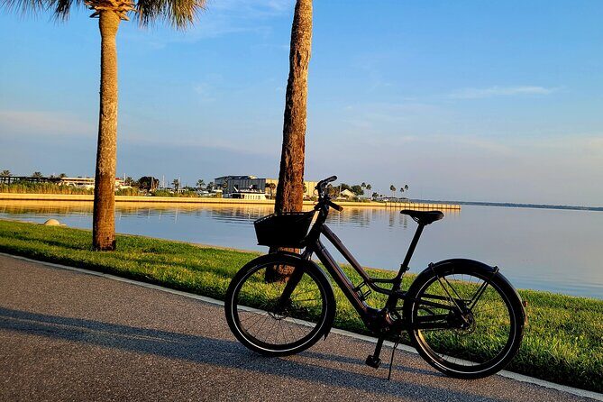 E-Bike Rental - 2 Hour Rental in Historic Downtown Sanford - The Bikes: Comfort and Ease