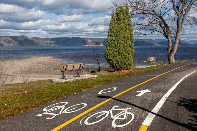 E-bike Rental - 3 hour along the shoreline Bike Path - Why This Tour Works for Different Travelers