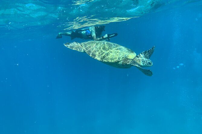 E-Scooter Snorkel With Photo and Video At Turtle Town - The Cost and How It Compares