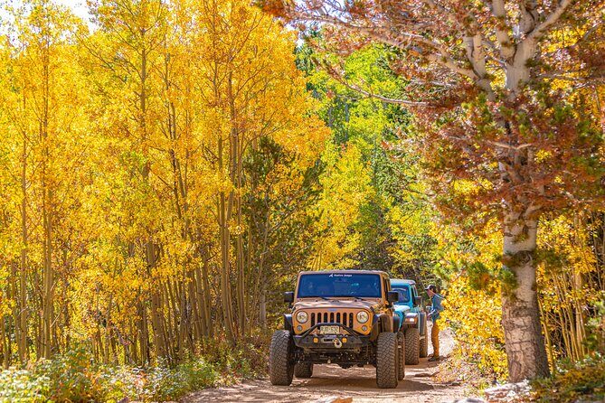 Early Season Special: Scenic Jeep Tour - Authentic Experiences and Traveler Insights