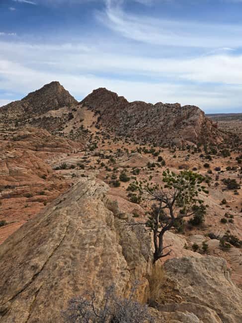 East Grand Canyon: Off-Road Tour With Picnic At The Rim - Exploring the Itinerary in Depth