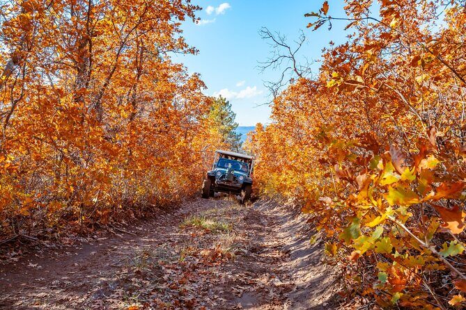 East Zion Brushy Cove Jeep Tour - What Makes It Special